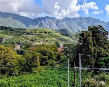 Private transfer and customized wine tour experience in Tramonti/Minori with Valentina Gambardella's luxury Mercedes van